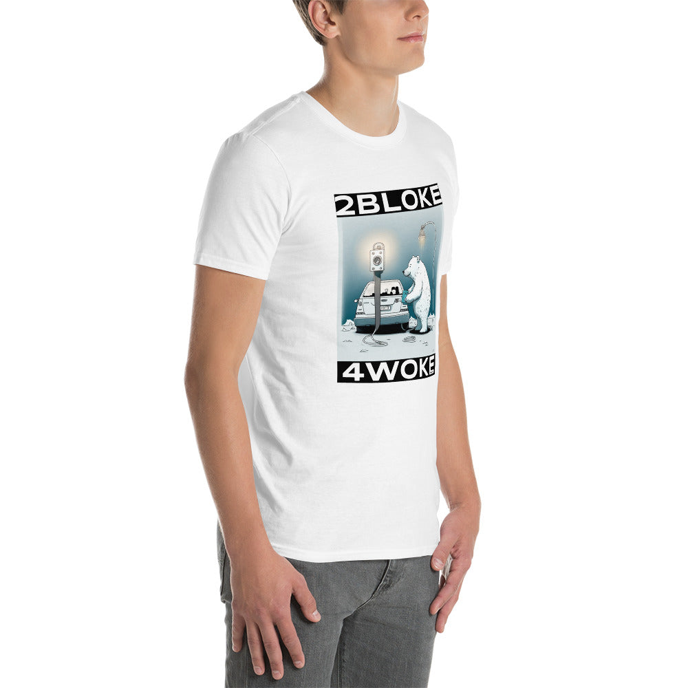 2B4W - Polar Electric