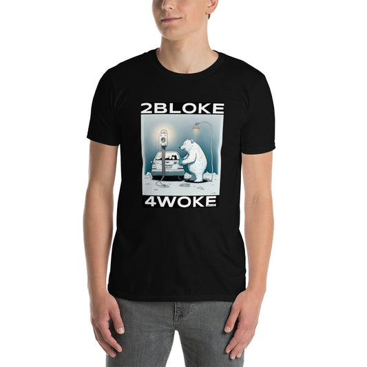 2B4W - Polar Electric