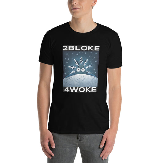 2B4W - Flaker