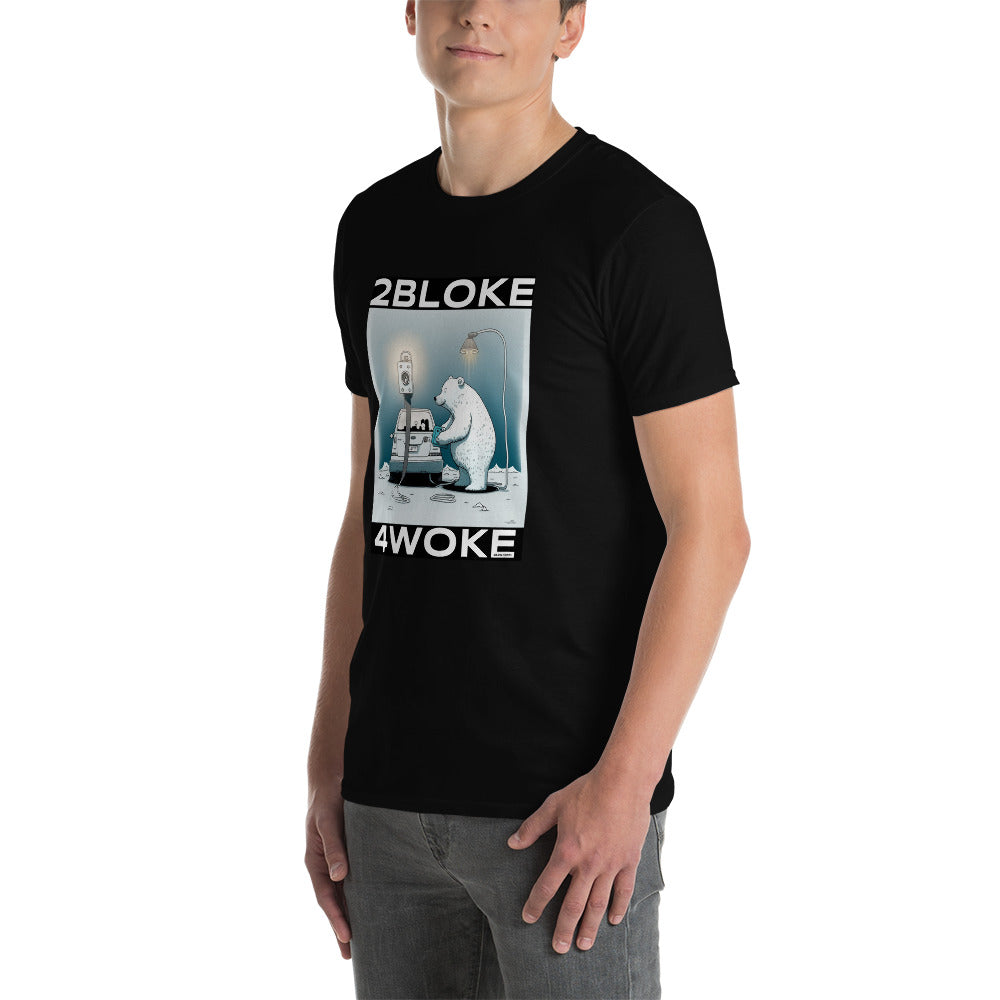 2B4W - Polar Electric