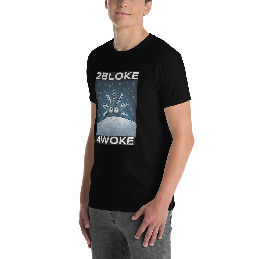 2B4W - Flaker