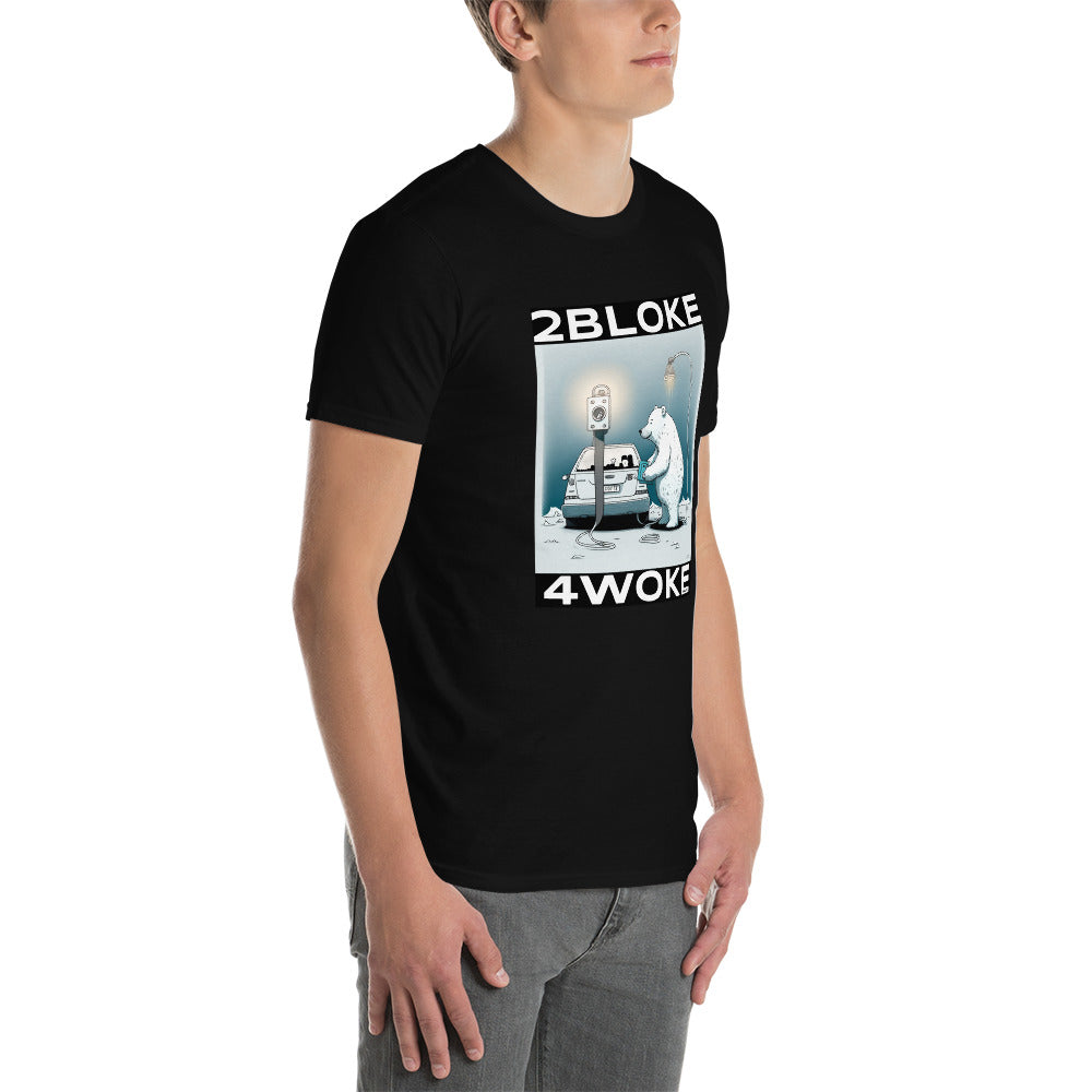 2B4W - Polar Electric