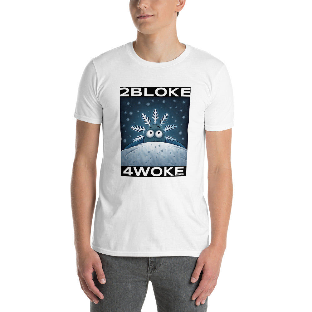 2B4W - Flaker